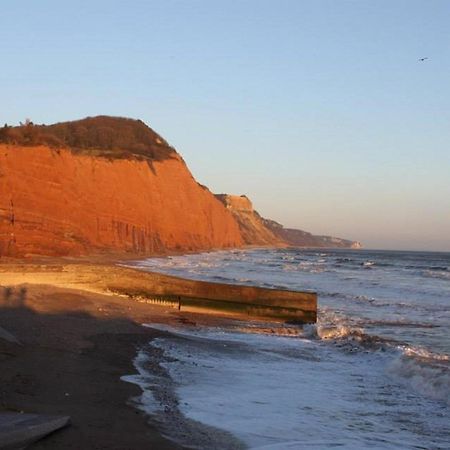 Ashlea At Amberley Villa Sidmouth Bagian luar foto